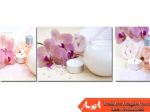 Tranh treo tường Spa bộ 3 tấm hoa phông lan đẹp AmiA 1304112024