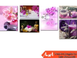 Tranh treo tường Spa bộ 6 tấm hiện đại AmiA 0104162024