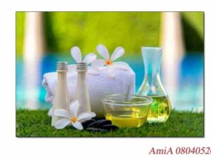 Tranh treo tường tinh dầu Spa trên nền cỏ AmiA 0804052024